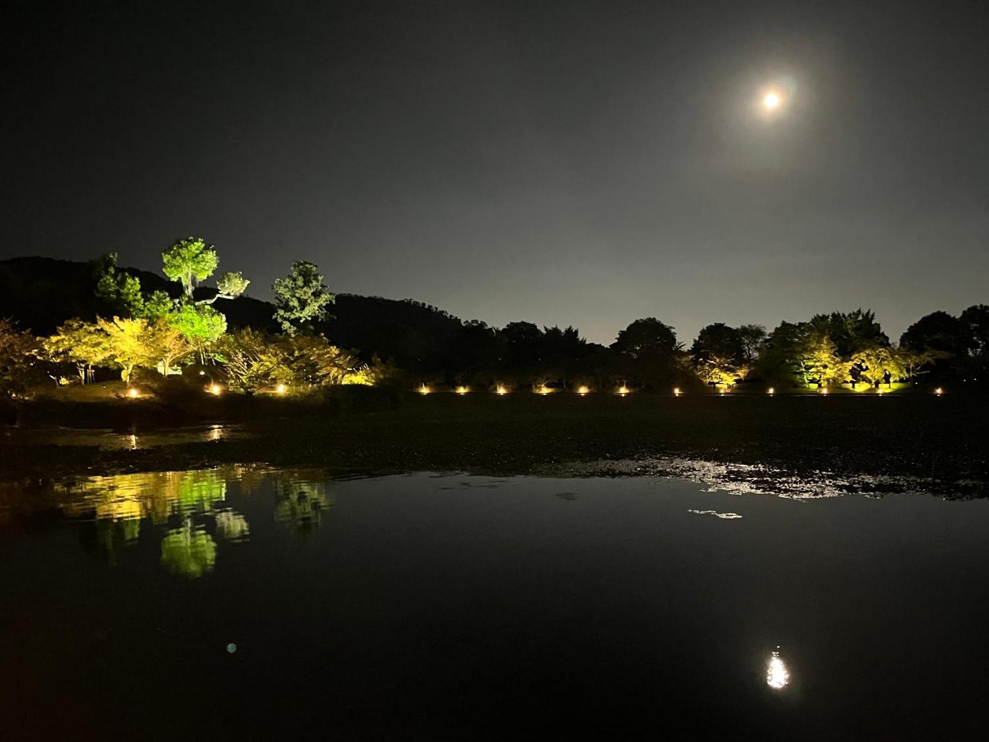 嵐山 天龍の宿 駐車無料 一棟貸切 最大5人 Dragon Legend Arashiyama Central Private Rare Modern Villa Free Parking Max 5Ppl Shimo-saga Екстериор снимка