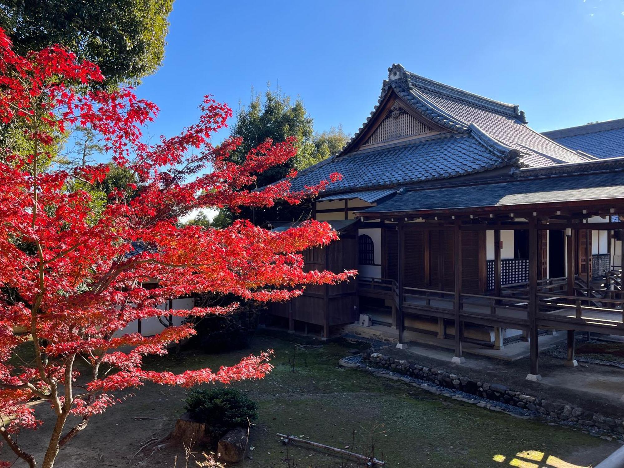 嵐山 天龍の宿 駐車無料 一棟貸切 最大5人 Dragon Legend Arashiyama Central Private Rare Modern Villa Free Parking Max 5Ppl Shimo-saga Екстериор снимка