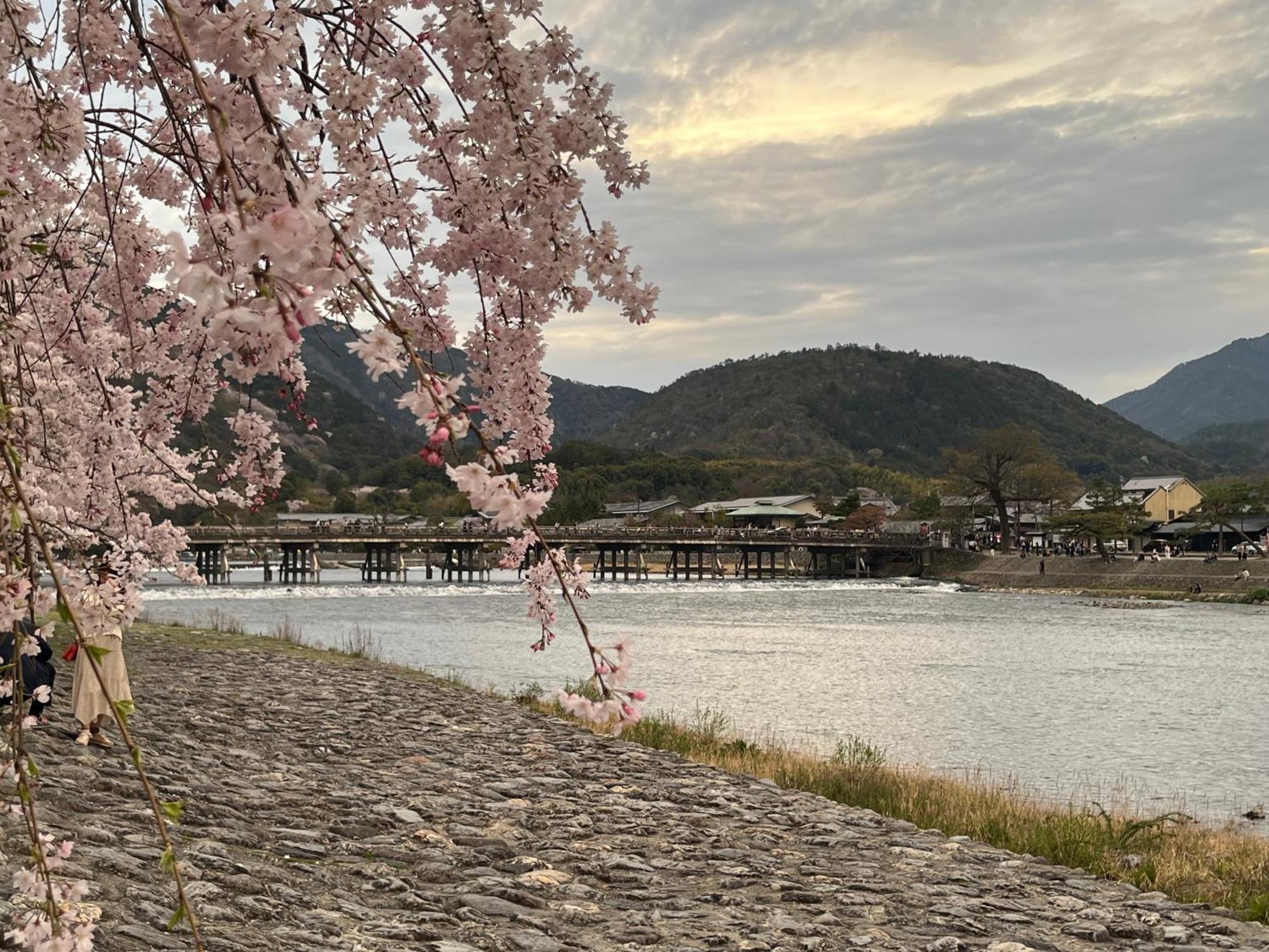 嵐山 天龍の宿 駐車無料 一棟貸切 最大5人 Dragon Legend Arashiyama Central Private Rare Modern Villa Free Parking Max 5Ppl Shimo-saga Екстериор снимка